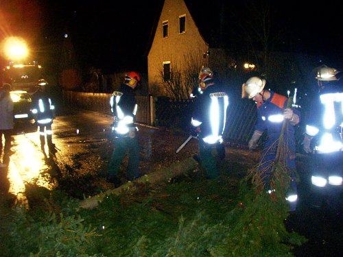 Sturmböe knickte Baum um – Fahrbahn blockiert